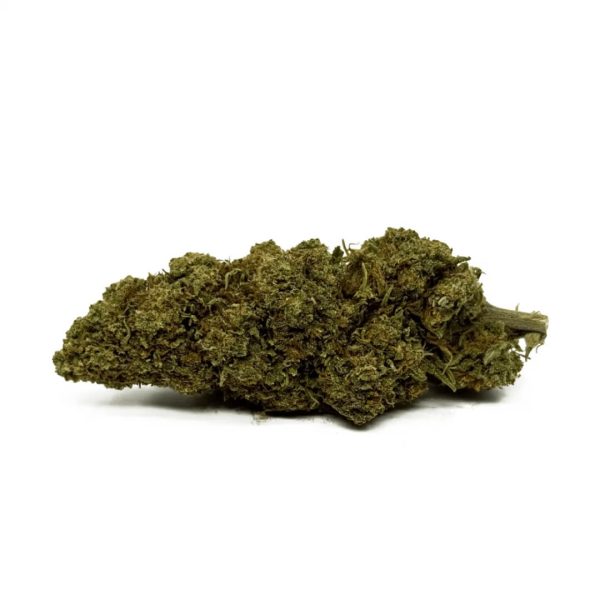 orange-bud-cbd-greenhouse 2