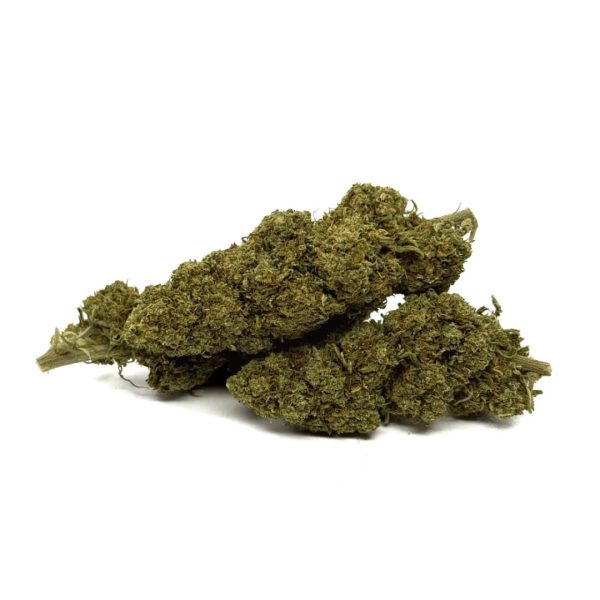 orange-bud-cbd-greenhouse